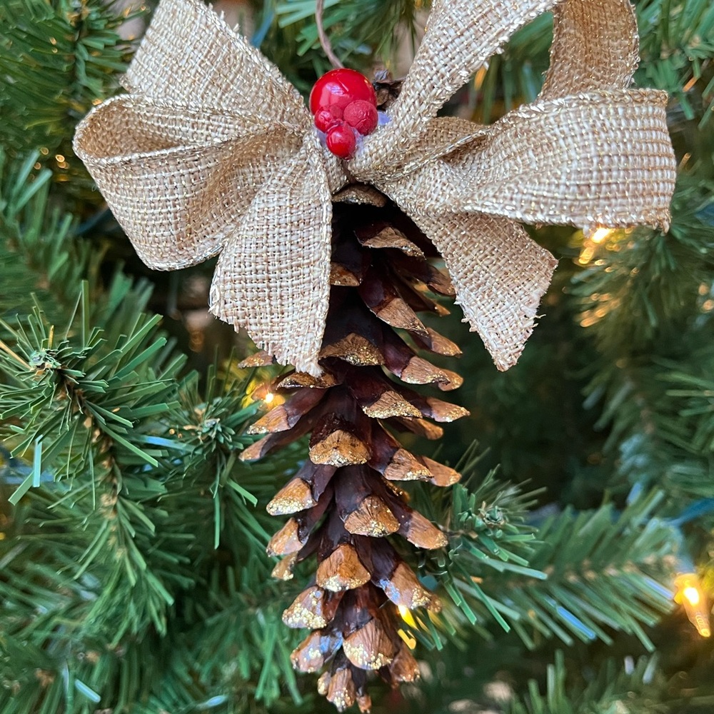 6 Pinecone Ornament Christmas Set